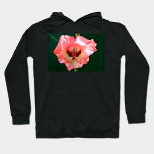 Claire Rosé Fleuri Hoodie